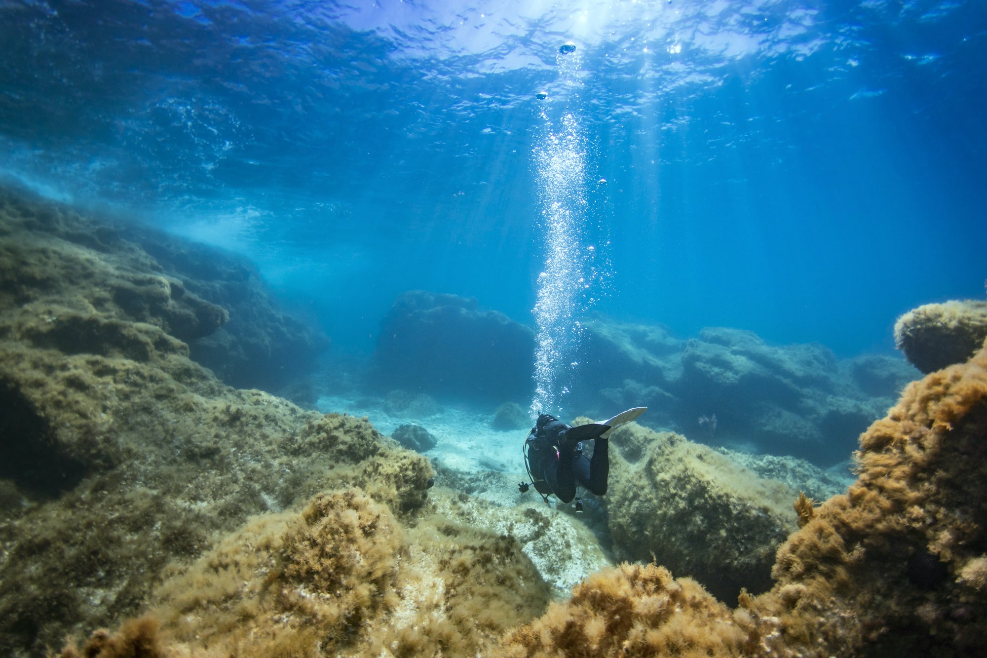 WINTER LONG STAY DIVE & HIKE PACKAGE 2024